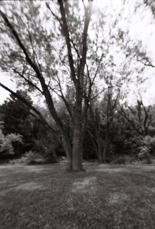 R1-09260-0020 (Medium).JPG
