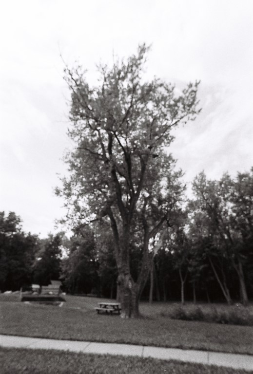 R1-09260-0021 (Medium).JPG
