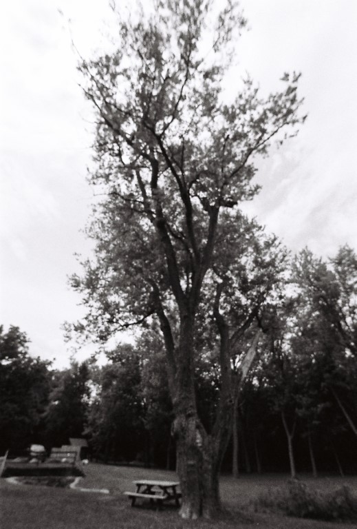 R1-09260-0022 (Medium).JPG