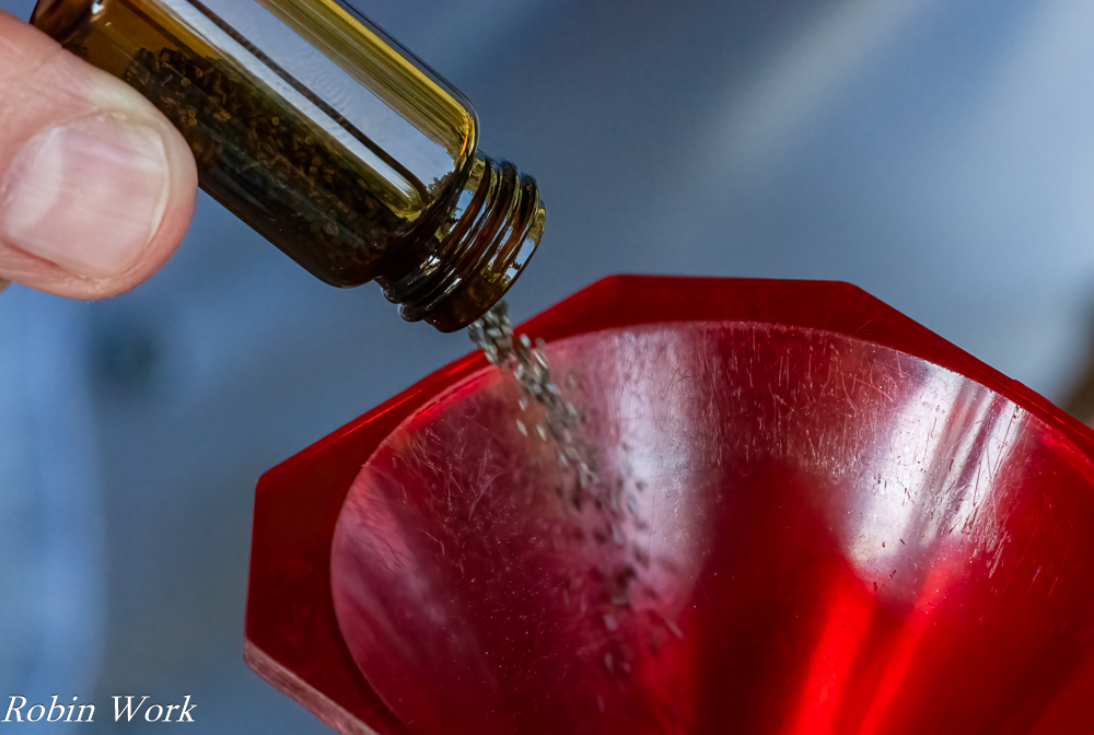 R81_3150-Edit-2-Edit.jpg