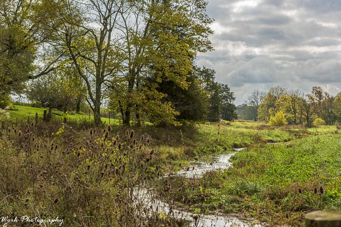 R81_8226-Thistle Creek.jpg