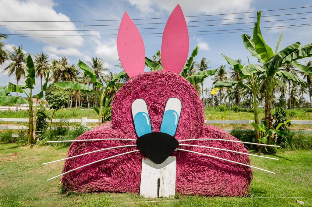 rabbit.jpg