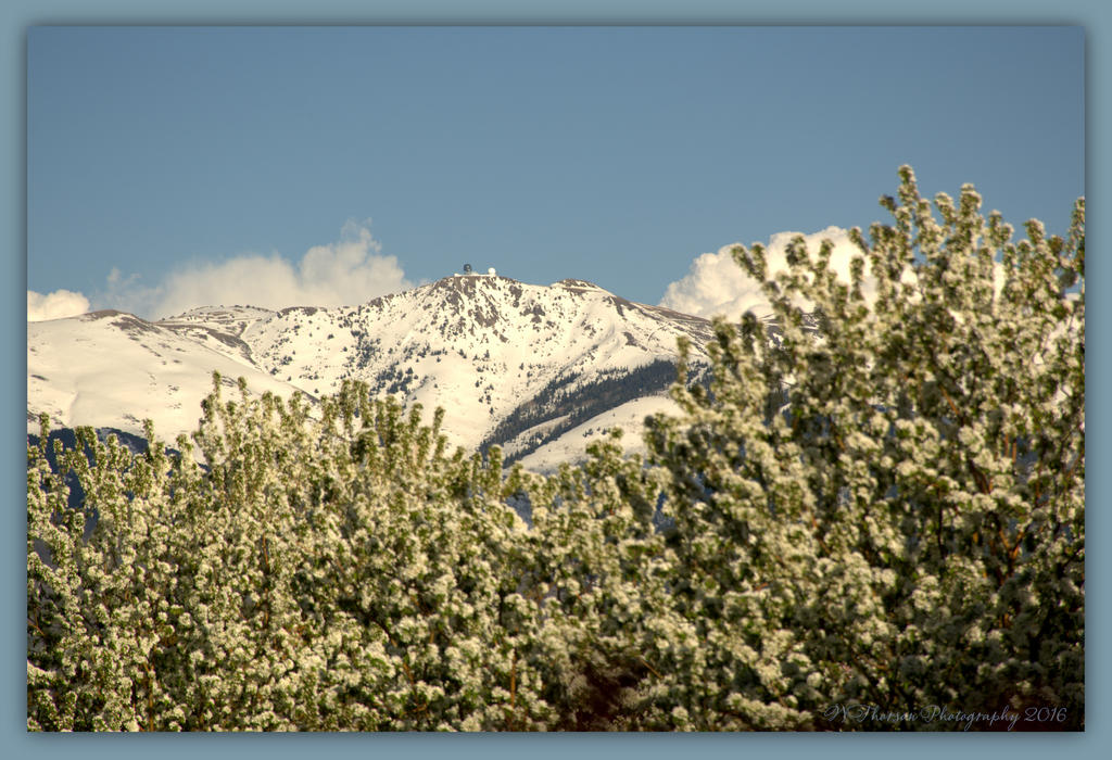 Radar Towers in Spring 4-12-2016.jpg