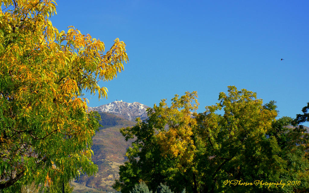 Radar Towers in the Autumn 10-7-2016.jpg