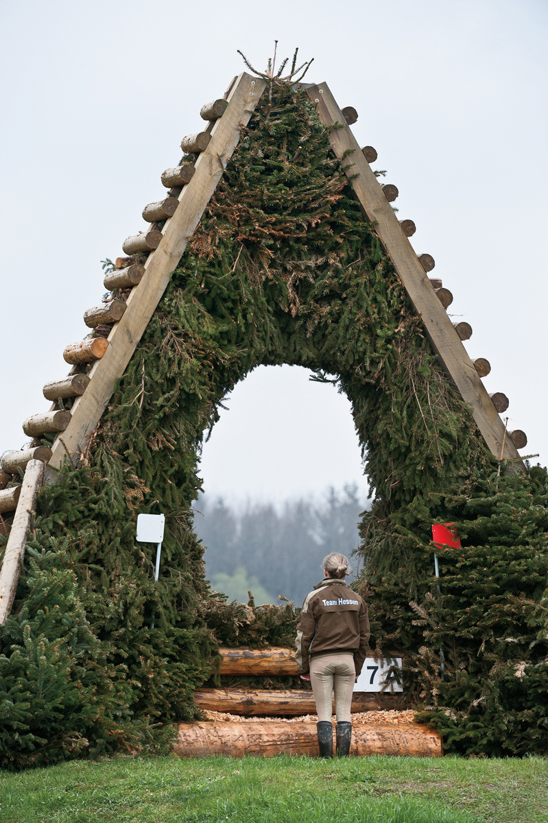 radolfzell2013_00.jpg