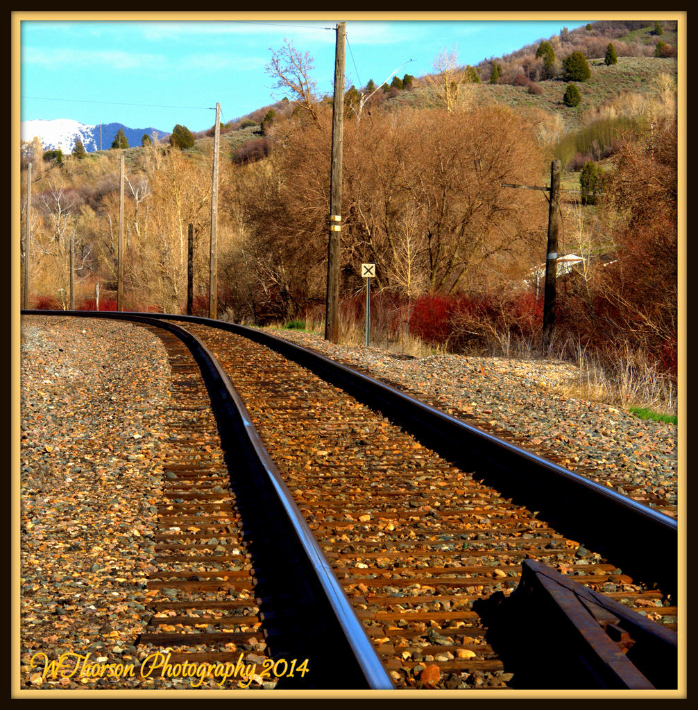 Rail Road Tracks.jpg
