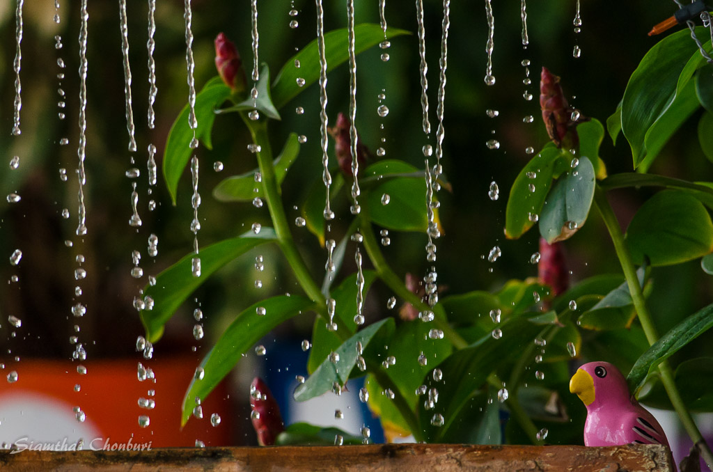 rain--1.jpg