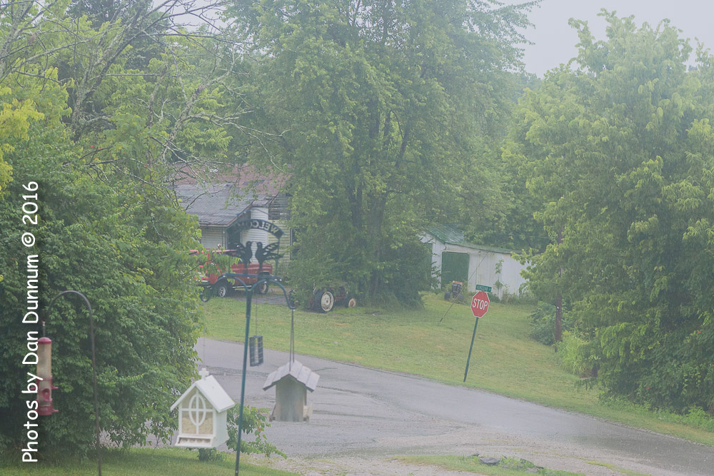 Rain-9880.jpg