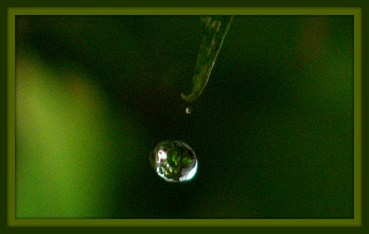 Rain Drop.jpg