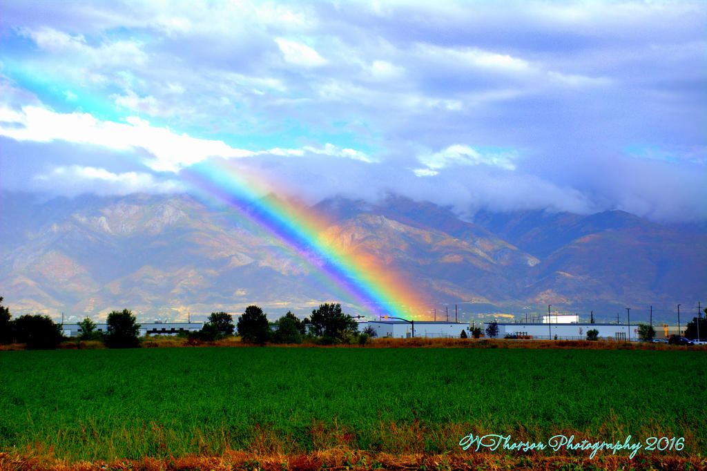Rainbow #2 9-22-2016.jpg
