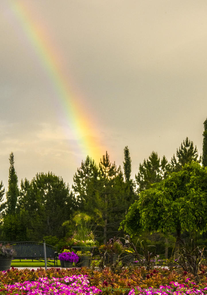 Rainbow at Thanksgiving Point 6-11-2015.jpg