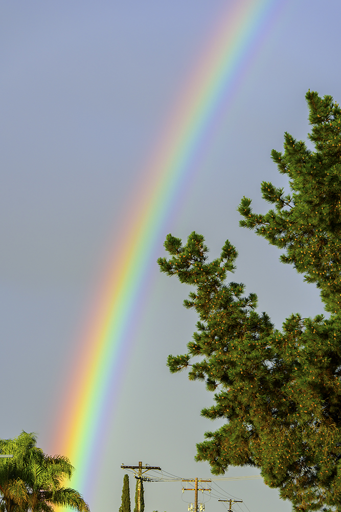 Rainbow.jpg