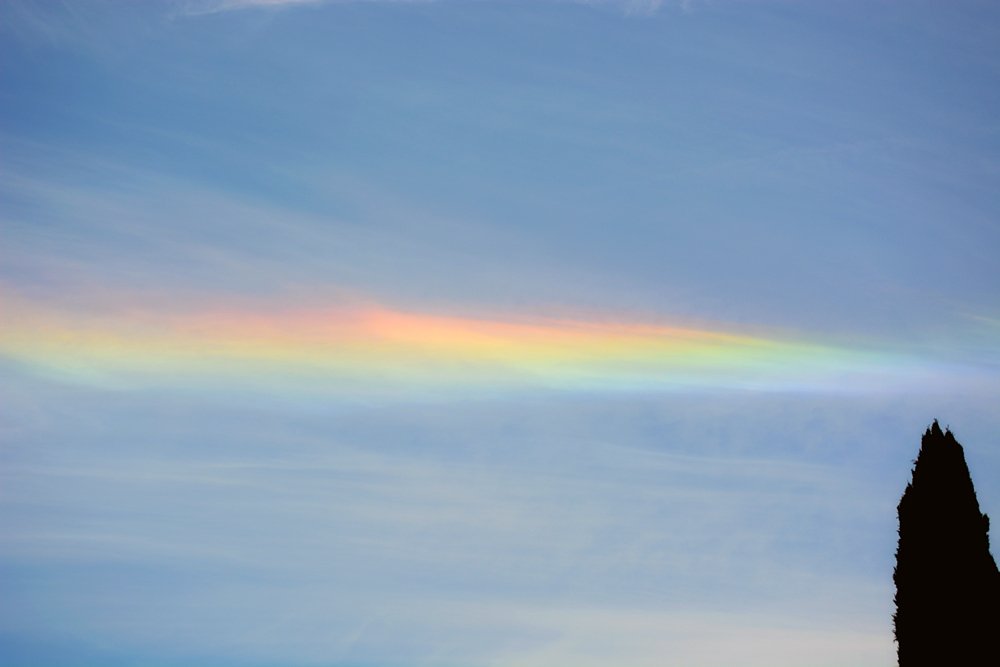 Rainbow.jpg