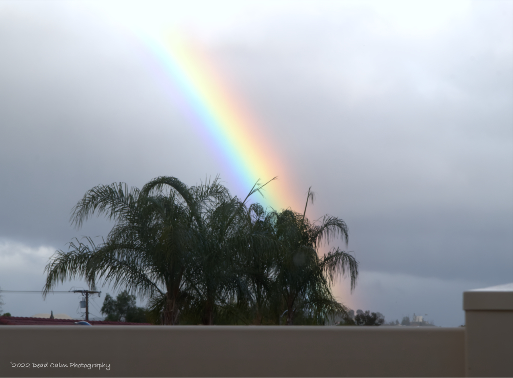 rainbow N FR 500 6706.jpg