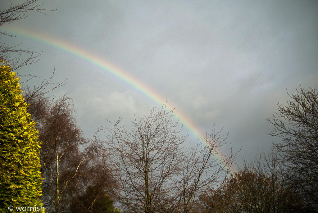 rainbow2.jpg