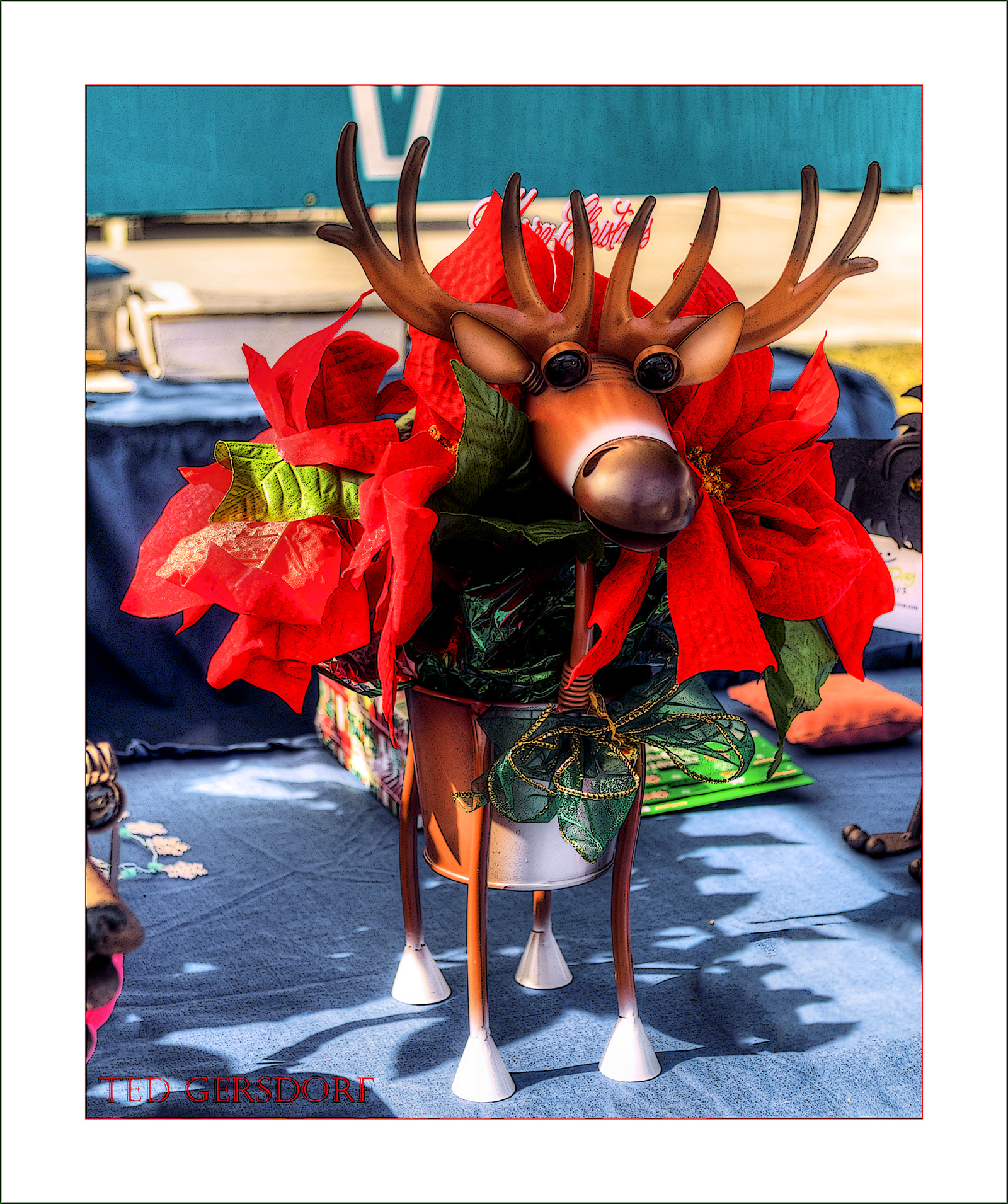 Raindeer.jpg