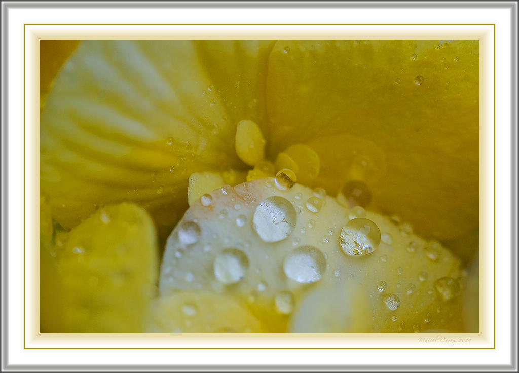 raindrops.jpg