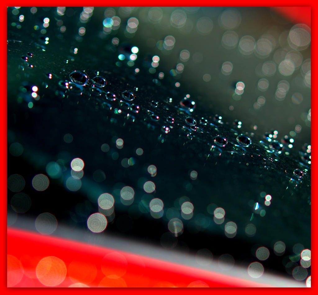 Raindrops on Car Window.jpg