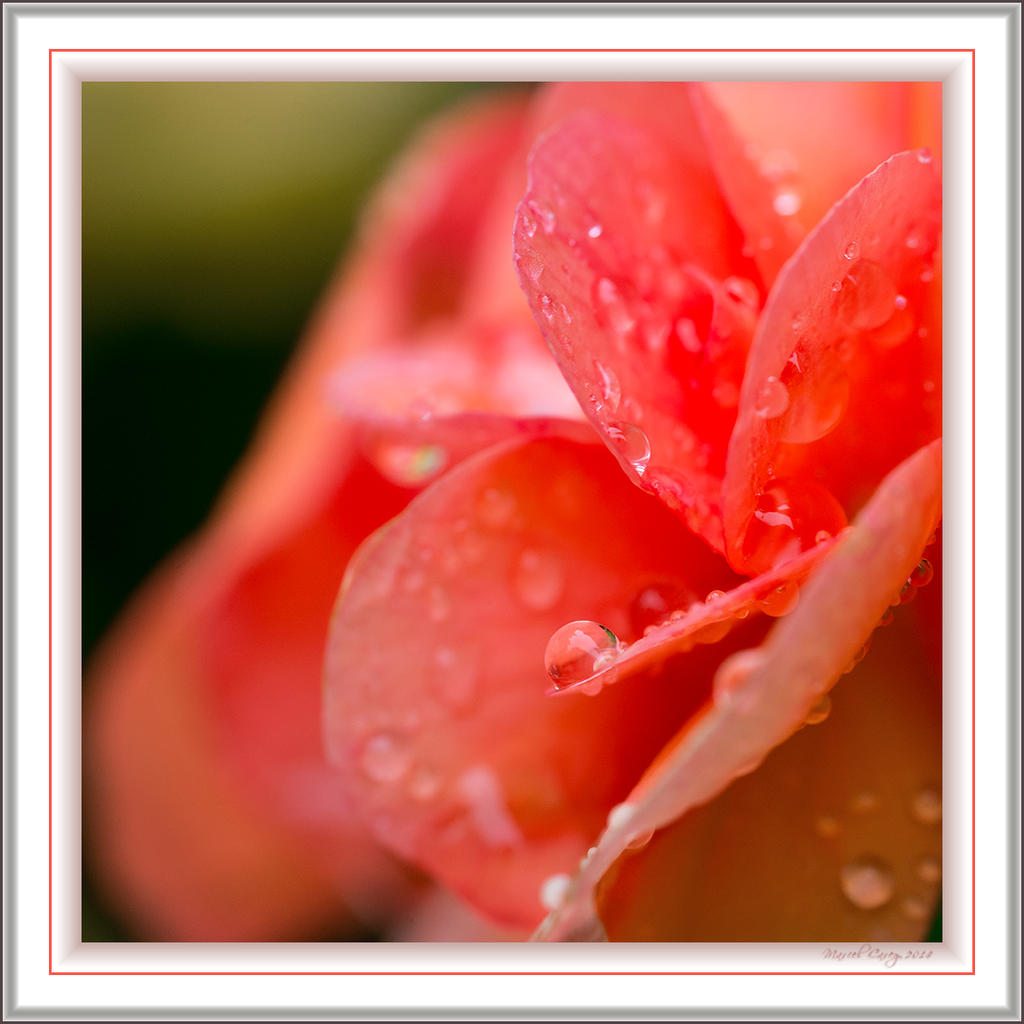 raindrops2.jpg