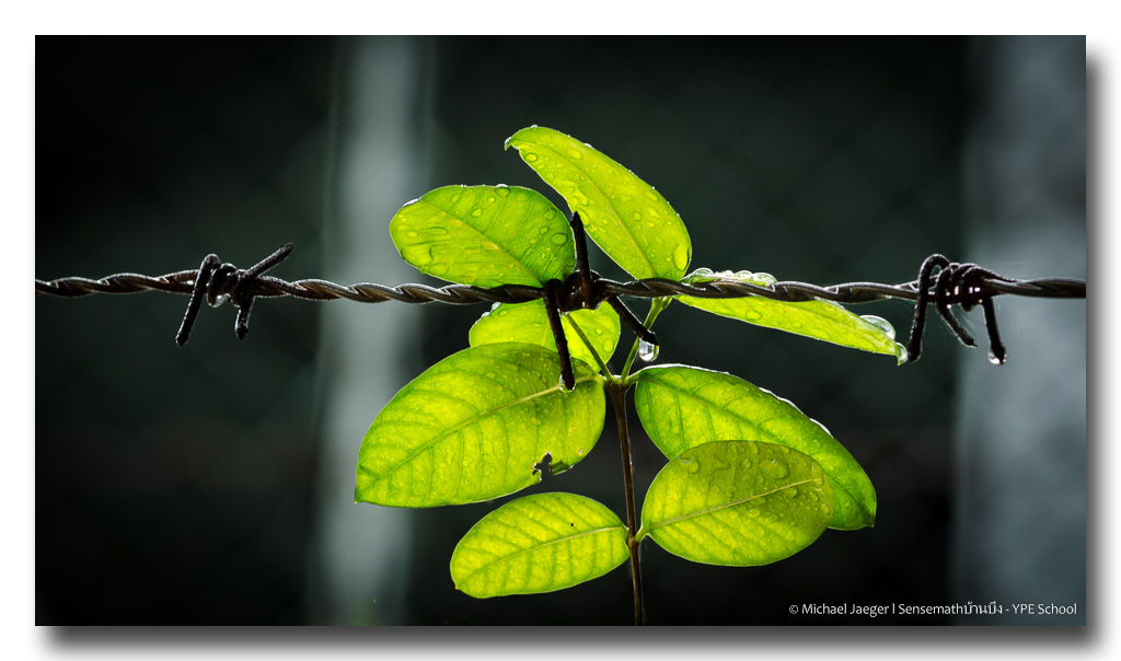 rainy-saturday-banbung (1).jpg