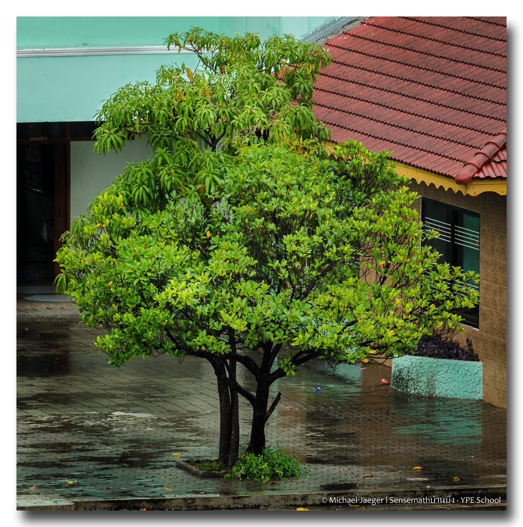 rainy-saturday-banbung (3).jpg