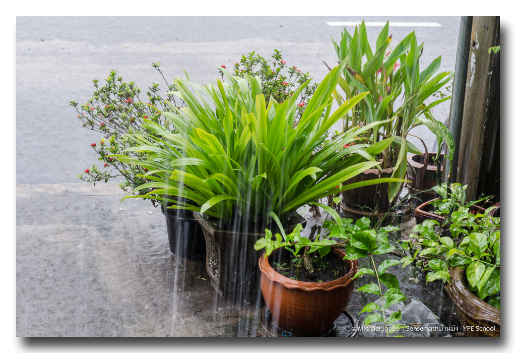 rainy-snaps-50mm-1 (3).jpg