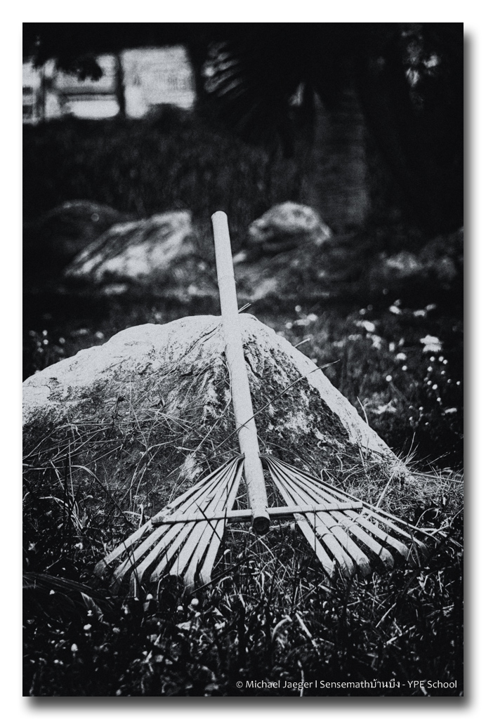 rake-bw.jpg