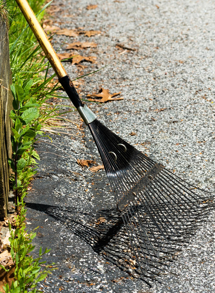Rake Shadow 2 (1 of 1).jpg