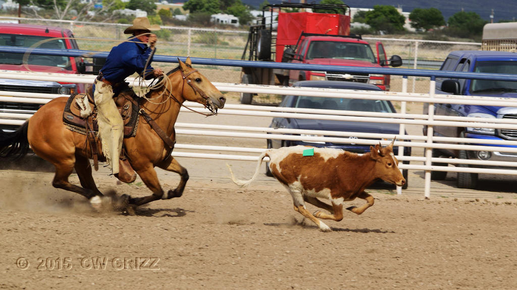 ranch_rodeo1-cr.jpg