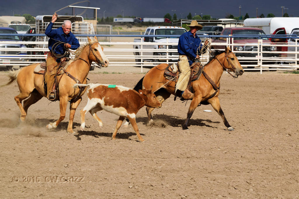 ranch_rodeo2-cr.jpg