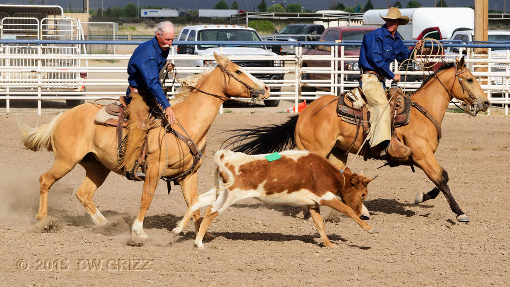 ranch_rodeo3-cr.jpg