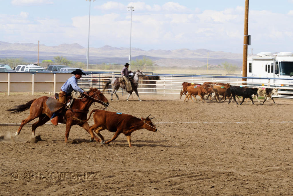 ranch_rodeo4-cr.jpg