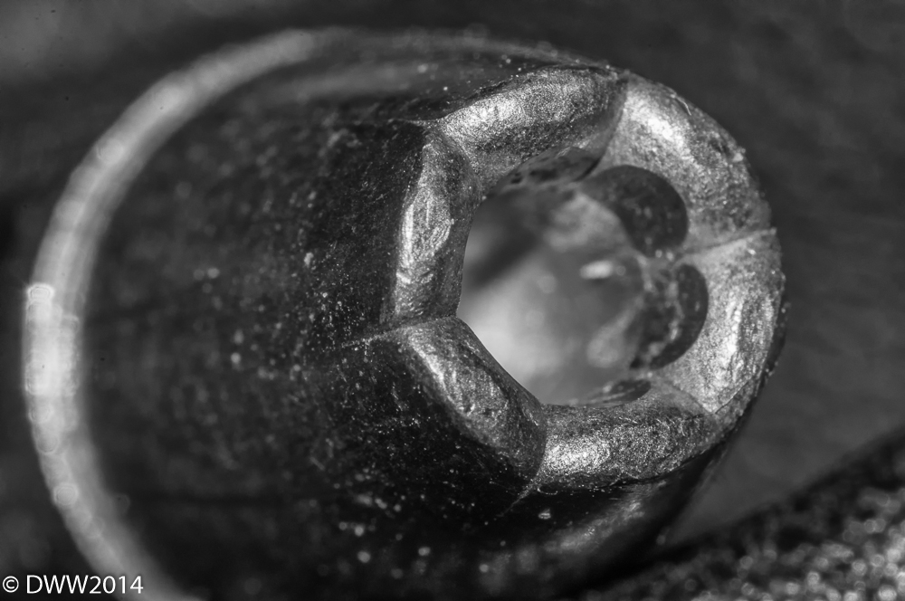 Ranger T B&W.jpg