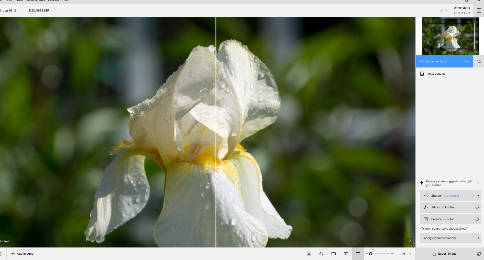 RAW file opened.jpg
