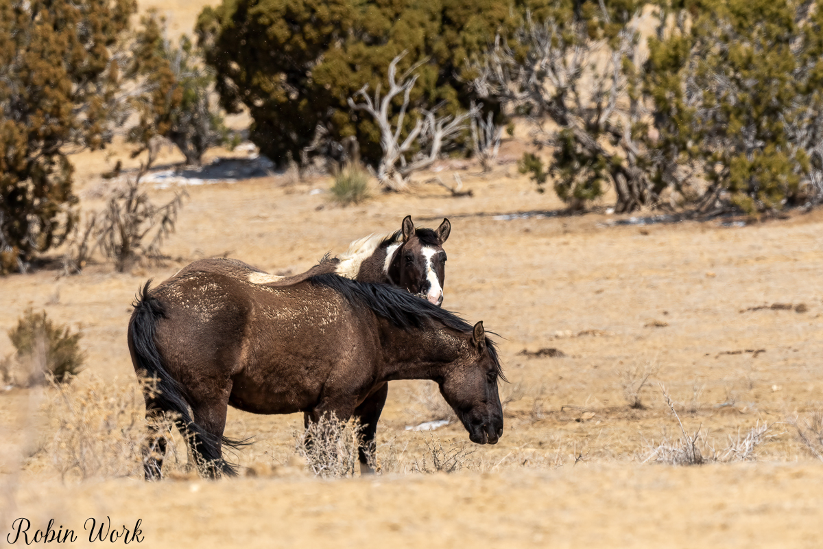 RD5_0259-Edit.jpg