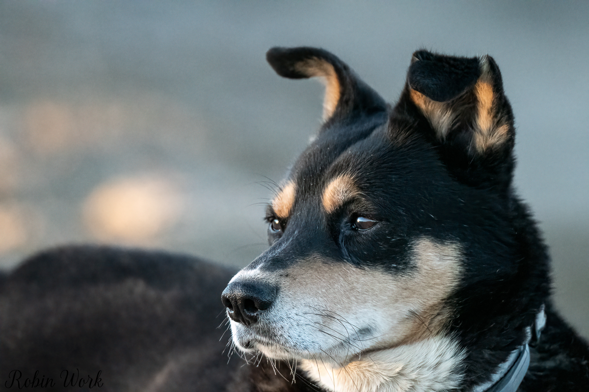 RD5_0434-Edit.jpg
