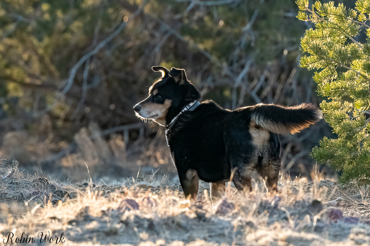 RD5_0455-Edit.jpg