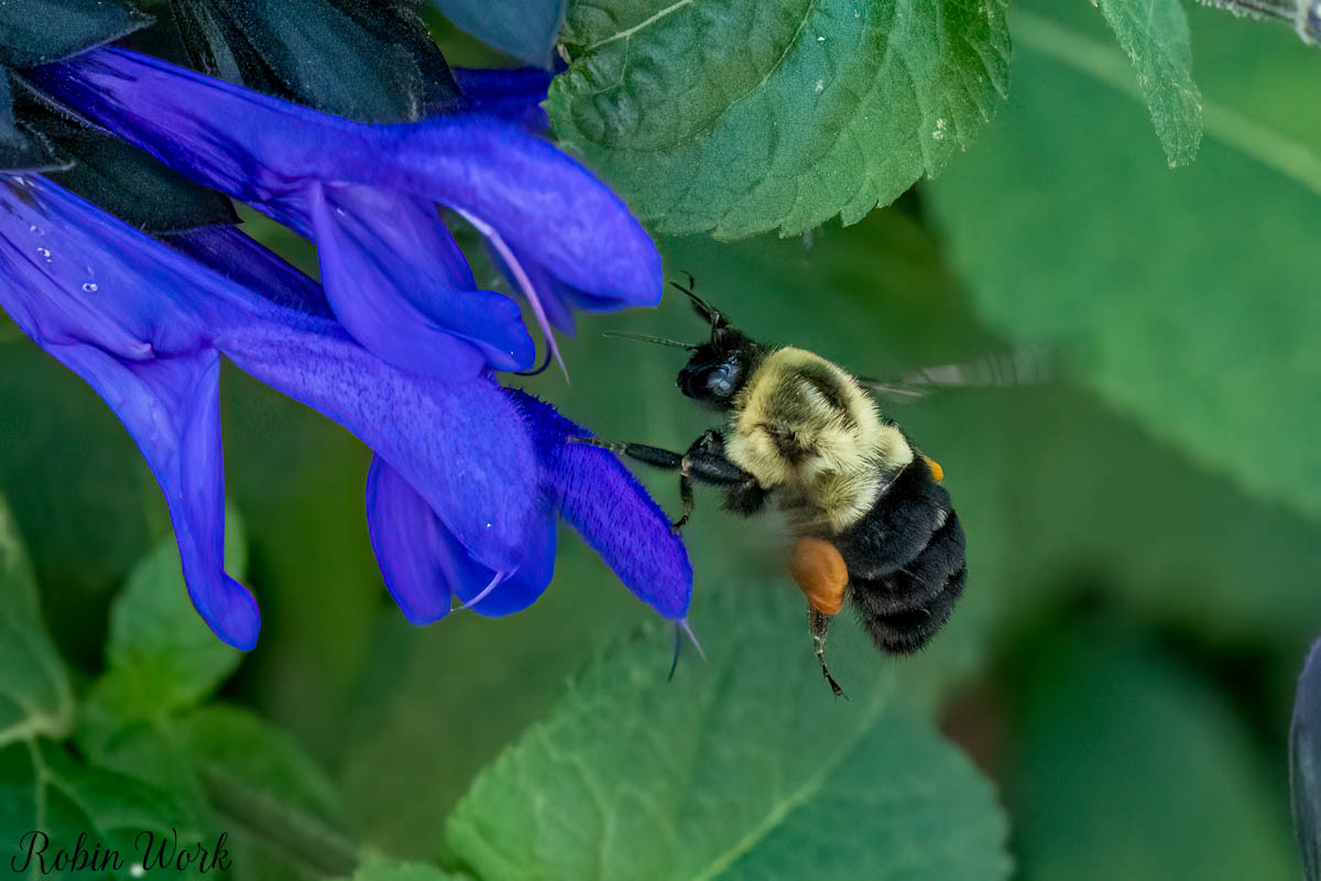 RD5_0555-Edit.jpg