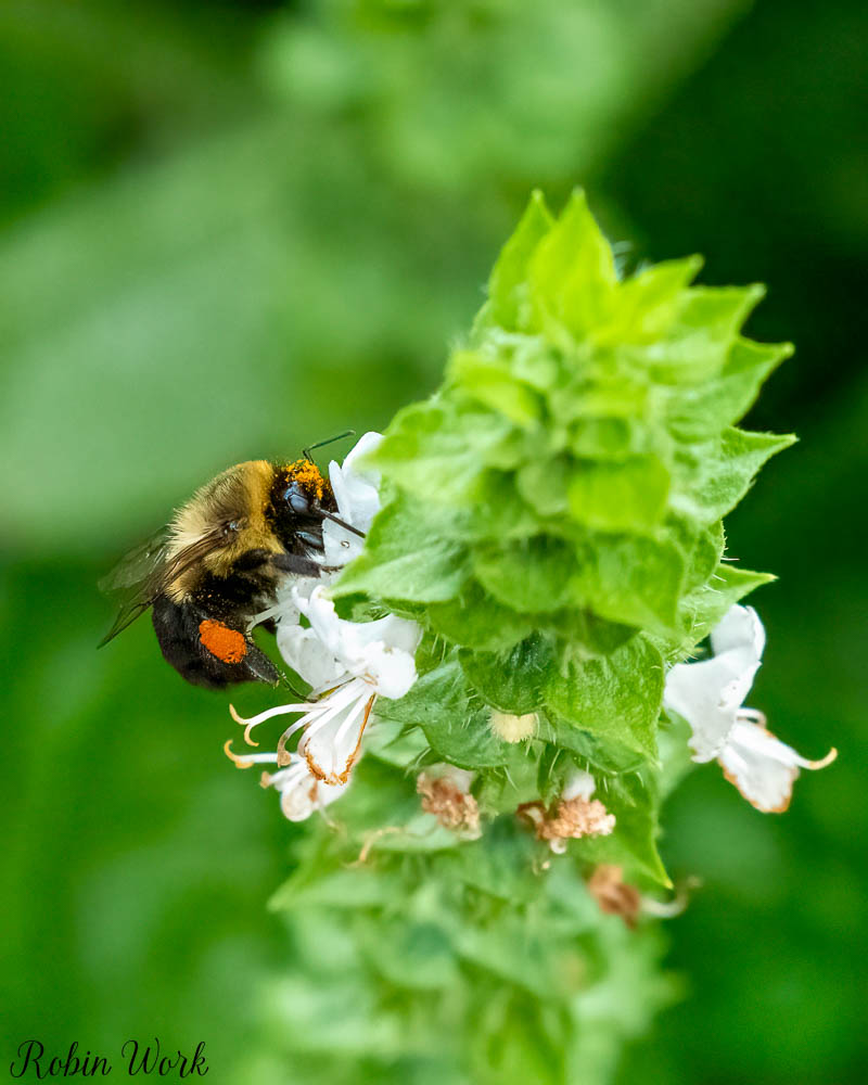 RD5_0620-Edit.jpg