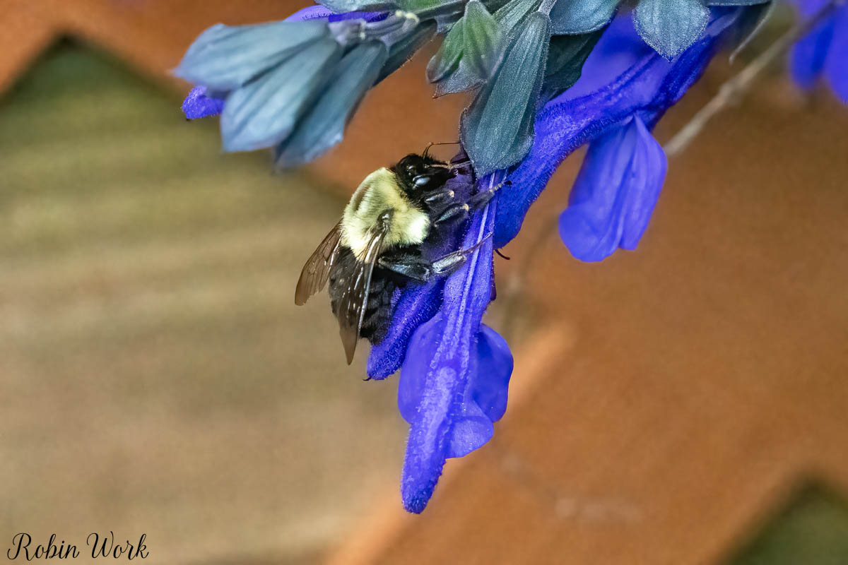 RD5_0629-Edit.jpg