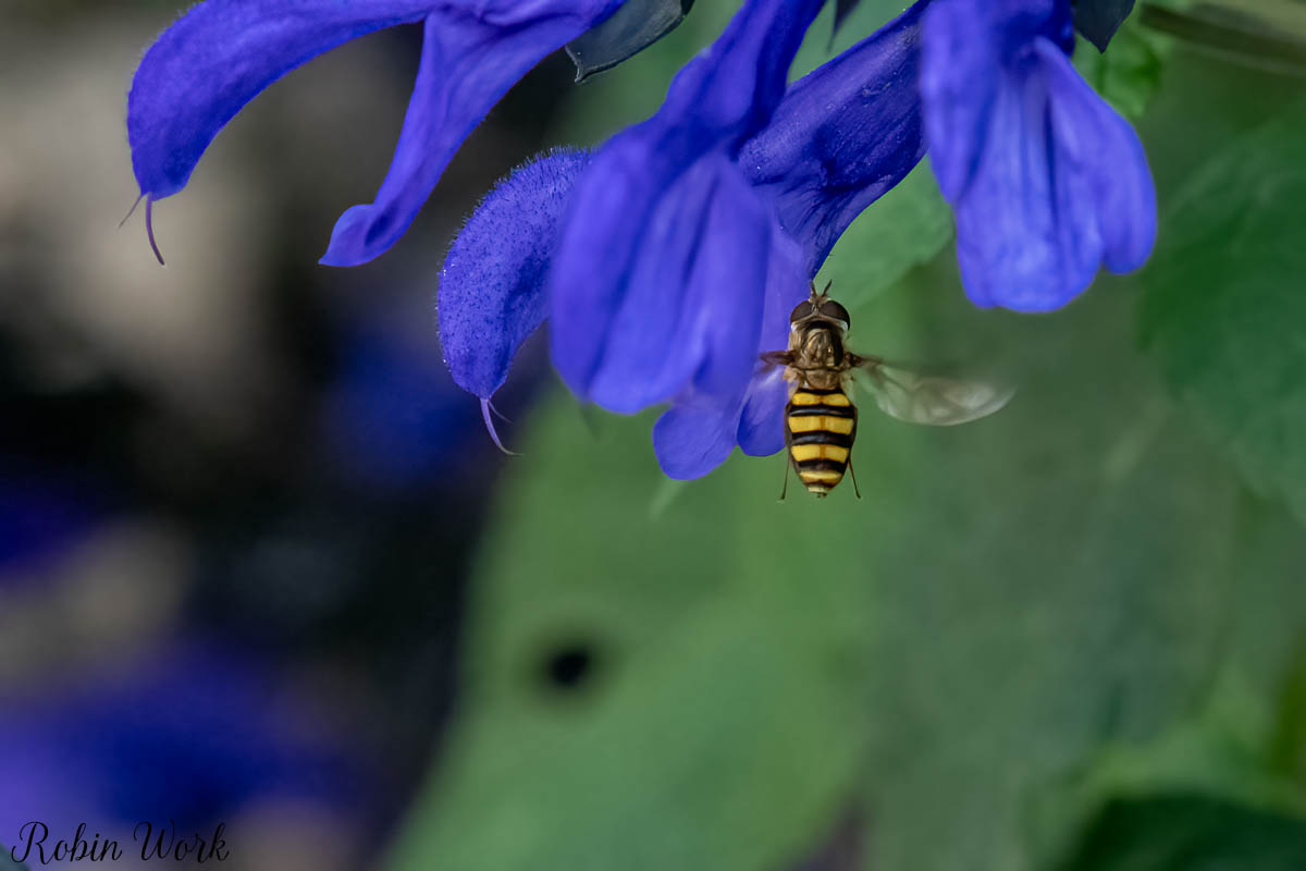 RD5_0637-Edit.jpg