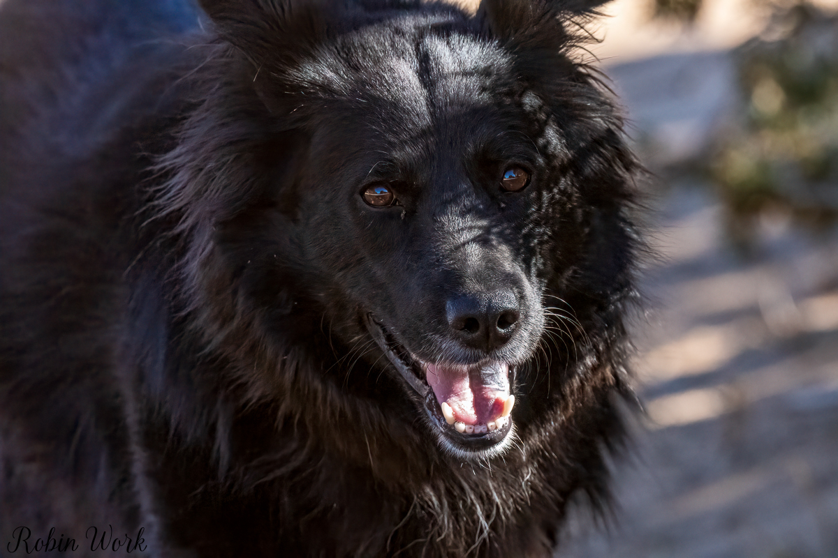 RD5_0730-Edit.jpg