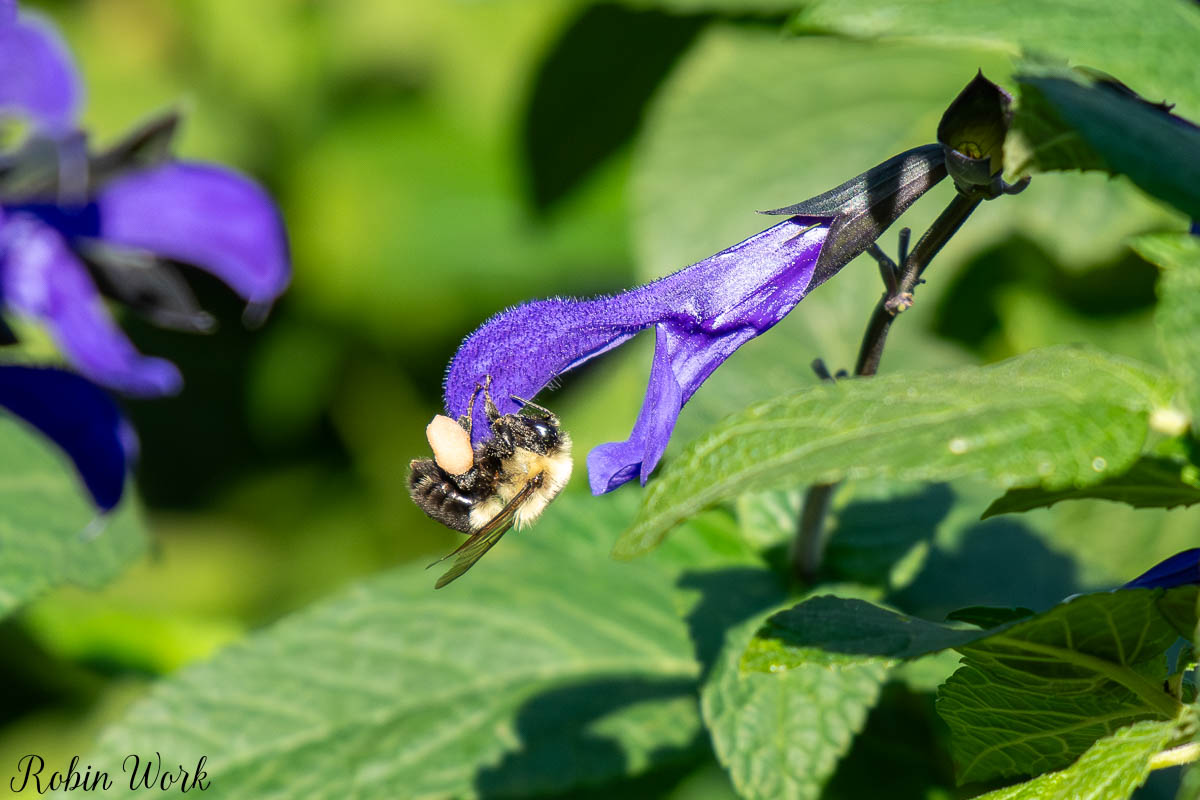 RD5_0923.jpg