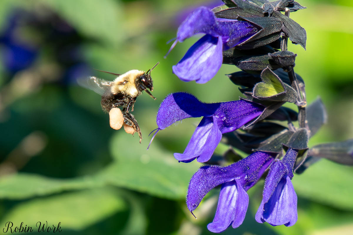 RD5_0929.jpg