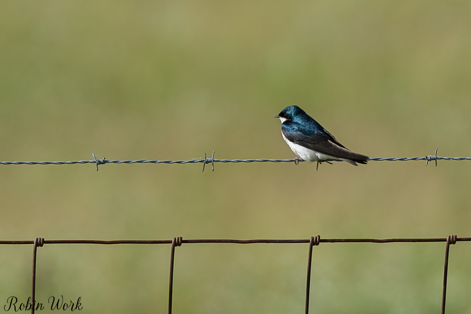 RD5_1124-Edit.jpg