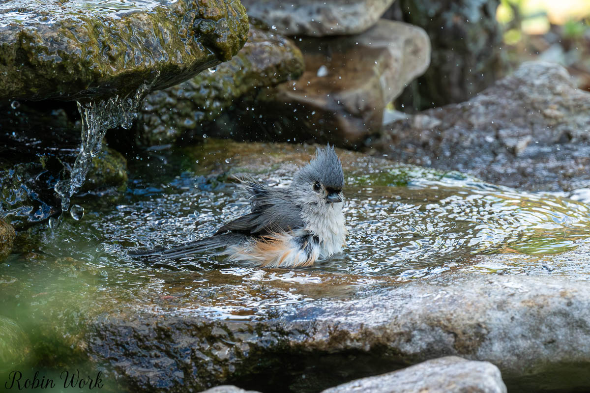 RD5_1223.jpg