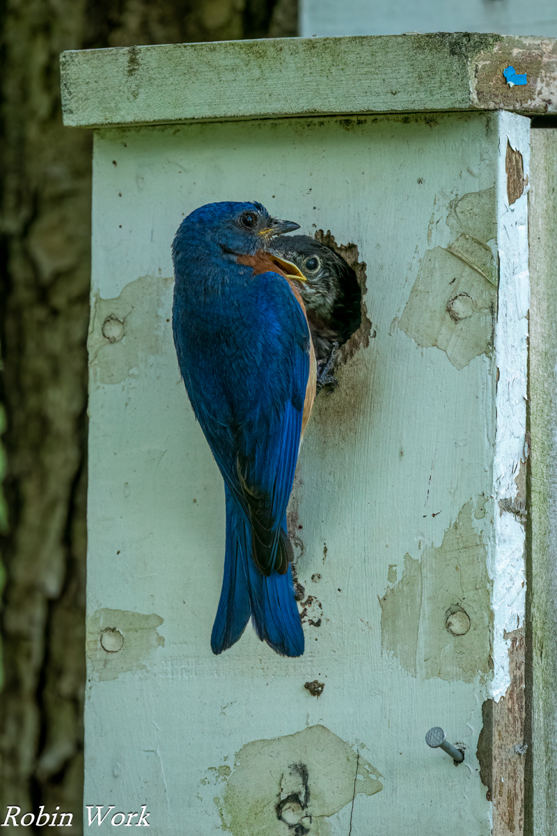 RD5_1828-Edit.jpg