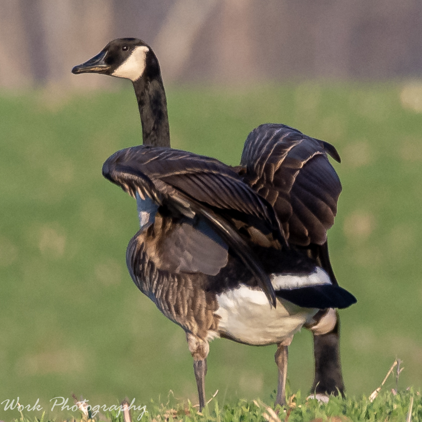RD5_2100.jpg