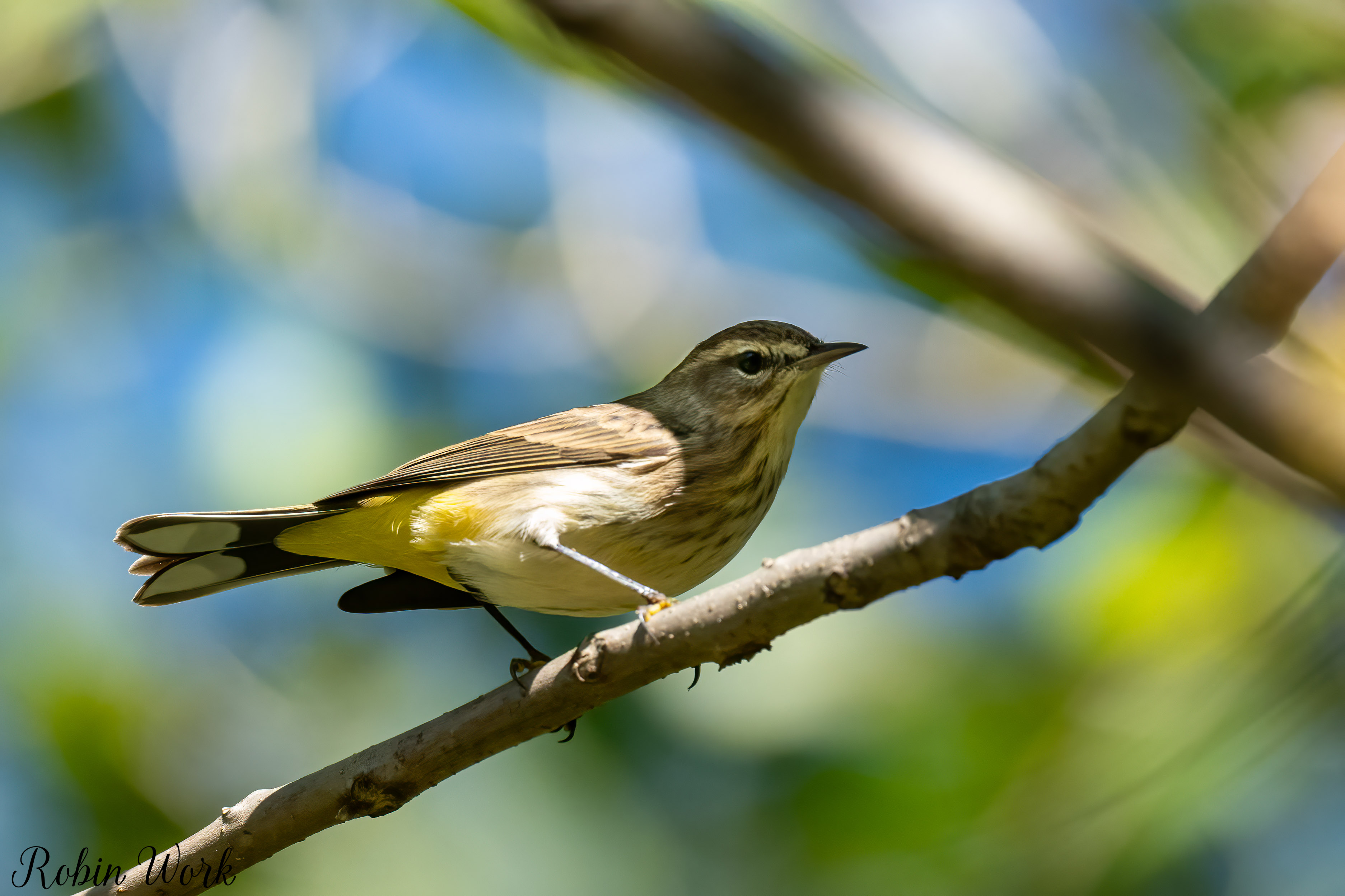 RD5_5078-Edit.jpg