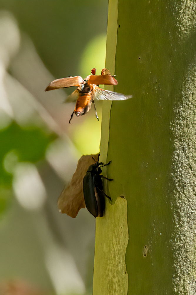 RD5_5115-Edit.jpg